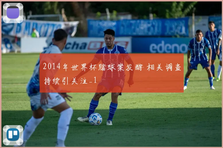 2014年世界杯赌球案发酵 相关调查持续引关注_1