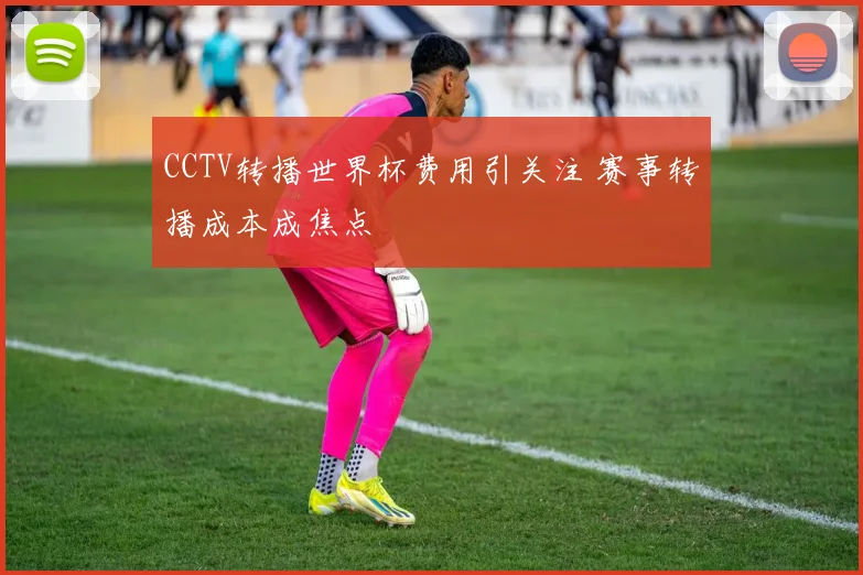 CCTV转播世界杯费用引关注 赛事转播成本成焦点