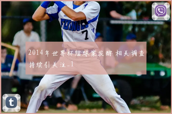 2014年世界杯赌球案发酵 相关调查持续引关注_1