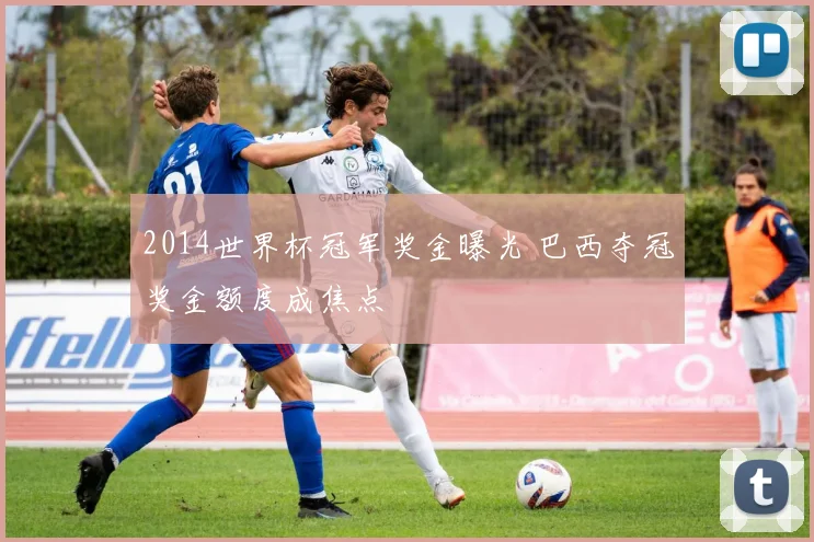 2014世界杯冠军奖金曝光 巴西夺冠奖金额度成焦点