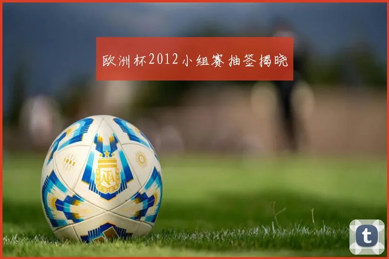 欧洲杯2012小组赛抽签揭晓