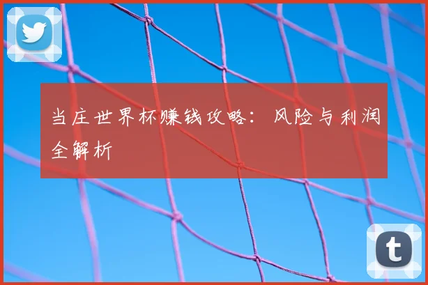 当庄世界杯赚钱攻略：风险与利润全解析