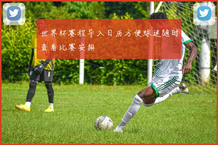 世界杯赛程导入日历方便球迷随时查看比赛安排
