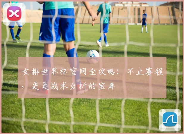 女排世界杯官网全攻略：不止赛程，更是战术分析的宝库