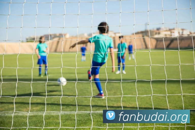 球盟会(中国)·网页登录 - 球盟会发展历程