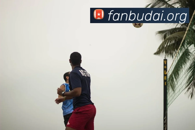 电竞数据